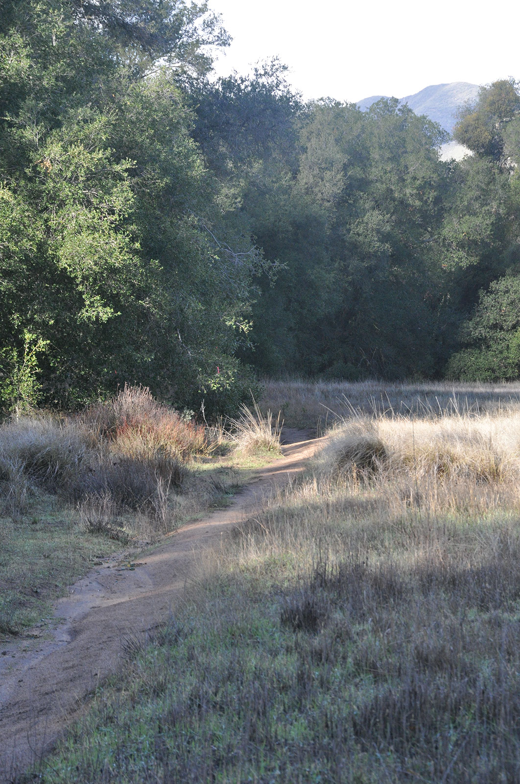 DSC_0080